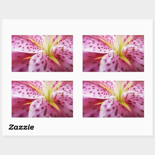 Stargazer Lily Bright Magenta Rechteckiger Aufkleber (Blatt)