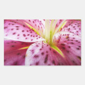 Stargazer Lily Bright Magenta Rechteckiger Aufkleber (Vorderseite)