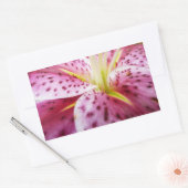 Stargazer Lily Bright Magenta Rechteckiger Aufkleber (Umschlag)