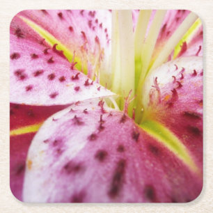 Stargazer Lily Bright Magenta Rechteckiger Pappuntersetzer