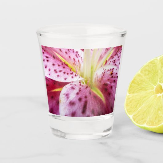 Stargazer Lily Bright Magenta Schnapsglas (Vorderseite)