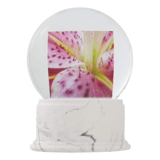 Stargazer Lily Bright Magenta Schneekugel (Rückseite)