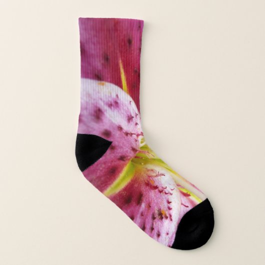 Stargazer Lily Bright Magenta Socken (Links - Innen)