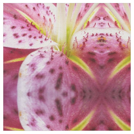 Stargazer Lily Bright Magenta Stoff (Nahaufnahme)