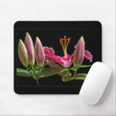 Stargazer Lily Buds und Blüte Mousepad (Mit Mouse)