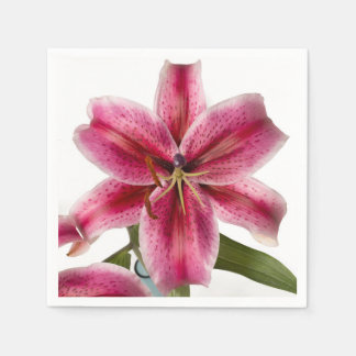 Stargazer Lily Cocktail Napkin Serviette