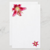 Stargazer Lily dekoriert Ledergeschirr Briefpapier (Vorne/Hinten)