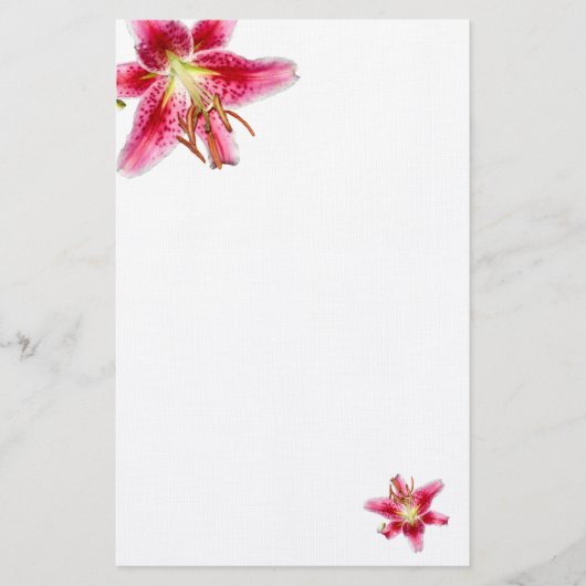 Stargazer Lily dekoriert Ledergeschirr Briefpapier (Vorderseite)
