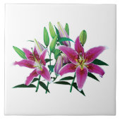 Stargazer Lily Family Fliese (Vorderseite)