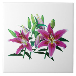 Stargazer Lily Family Fliese