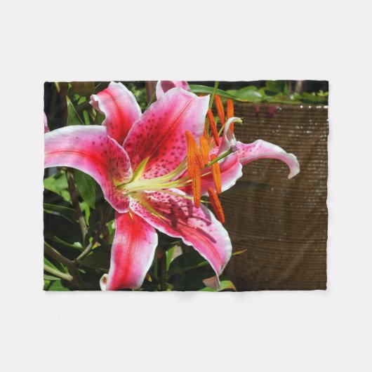 Stargazer Lily Fotograf Fleecedecke (Vorderseite (Horizontal))