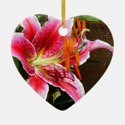 Stargazer Lily Fotograf Keramik Ornament (Vorne)