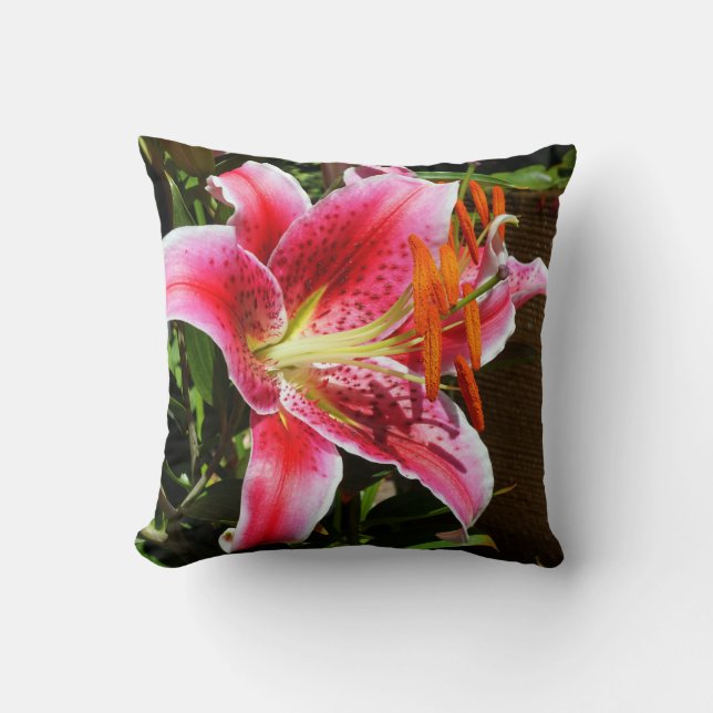 Stargazer Lily Fotograf Kissen (Vorderseite)