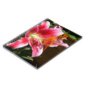 Stargazer Lily Fotograf Notizblock (Linke Seite)