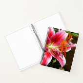 Stargazer Lily Fotograf Notizblock (Innenseite)
