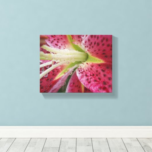 Stargazer Lily Leinwanddruck (Insitu (Holzboden))