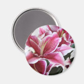 Stargazer Lily Magnet (Vorderseite/Rückseite)