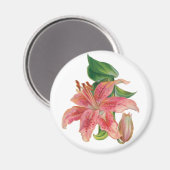 Stargazer Lily Magnet (Vorderseite/Rückseite)