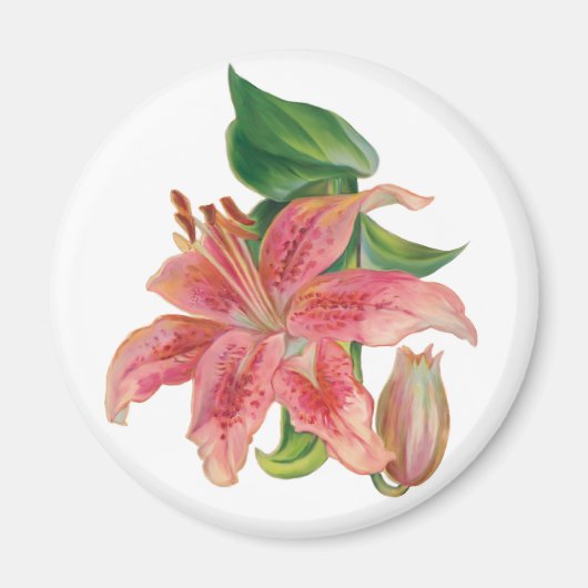 Stargazer Lily Magnet (Vorne)