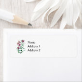 Stargazer Lily Pflanze (Insitu)