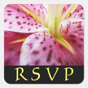 Stargazer Lily Pink UAWG Sticker