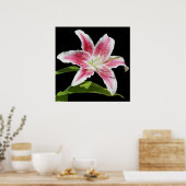 Stargazer Lily Poster (Küche)