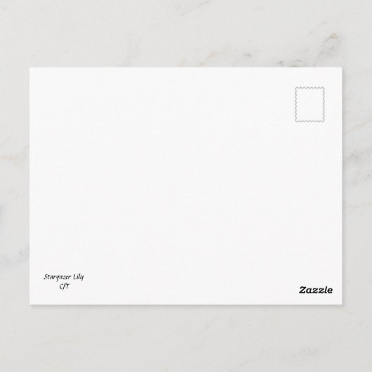 Stargazer Lily Postkarte (Rückseite)