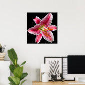 Stargazer Lily Print Poster (Heimbüro)
