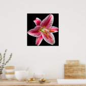 Stargazer Lily Print Poster (Küche)