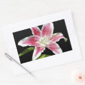 Stargazer Lily Rechteckiger Aufkleber (Umschlag)