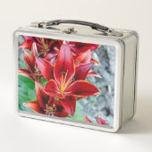 Stargazer Lily, Rote Blumenfotografie Metall Brotdose (Vorderseite)