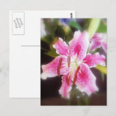 Stargazer-Liste #2 Postkarte (Vorne/Hinten)
