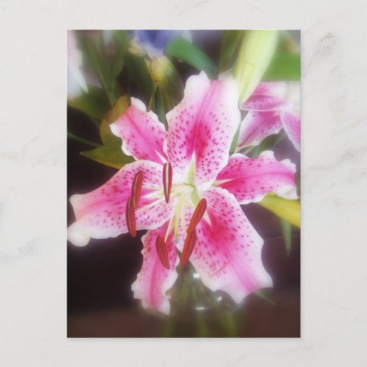 Stargazer-Liste #2 Postkarte (Vorderseite)