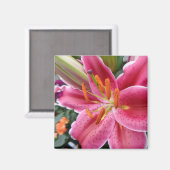 Stargazer Magnet (Vorderseite/Rückseite)