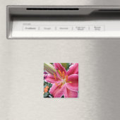 Stargazer Magnet (In Situ (Geschirrspüler))