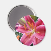 Stargazer Magnet (Vorderseite/Rückseite)