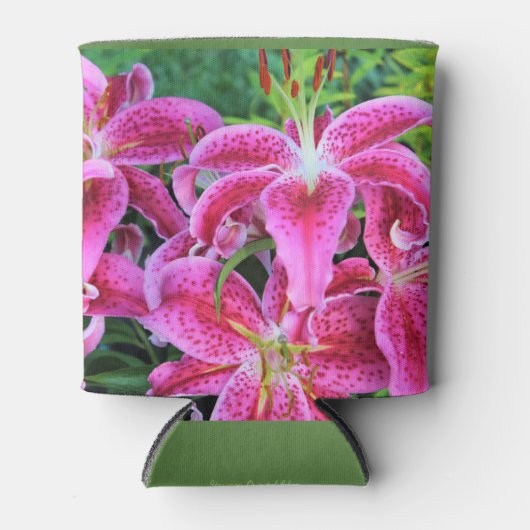 Stargazer Oriental Lilies Dosenkühler (Vorderseite)