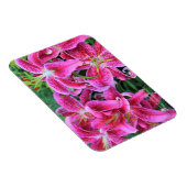 Stargazer Oriental Lilies Magnet (Rechte Seite)