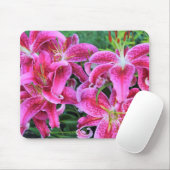 Stargazer-Orientale-Lilien Mousepad (Mit Mouse)
