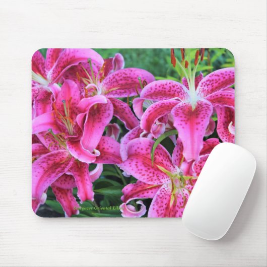 Stargazer-Orientale-Lilien Mousepad (Mit Mouse)