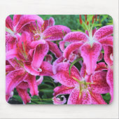 Stargazer-Orientale-Lilien Mousepad (Vorne)
