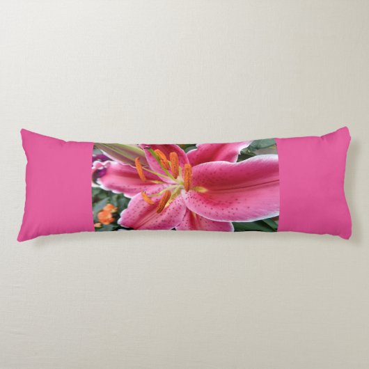 Stargazer Seitenschläferkissen (Vorderseite)