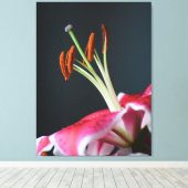 Stargazer Stamen Leinwanddruck (Insitu (Holzboden))