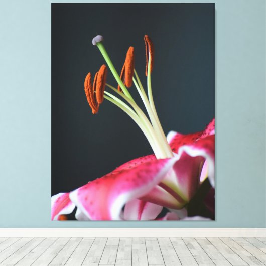 Stargazer Stamen Leinwanddruck (Insitu (Holzboden))