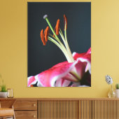 Stargazer Stamen Leinwanddruck (Insitu (Wohnzimmer))