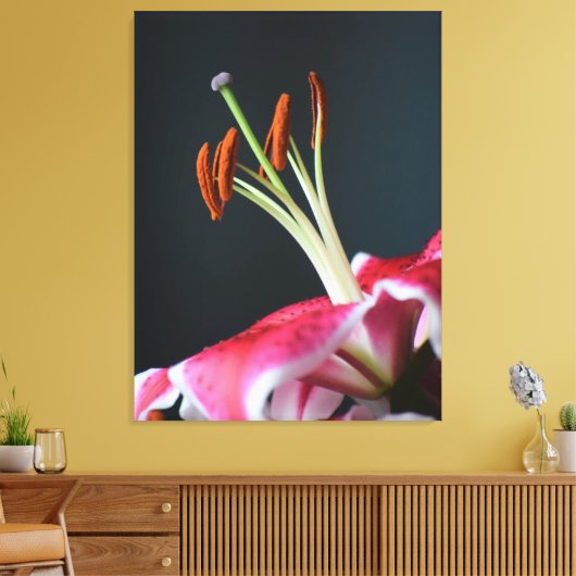 Stargazer Stamen Leinwanddruck (Insitu (Wohnzimmer))