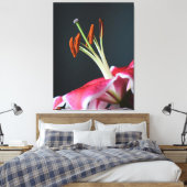 Stargazer Stamen Leinwanddruck (Insitu (Schlafzimmer))