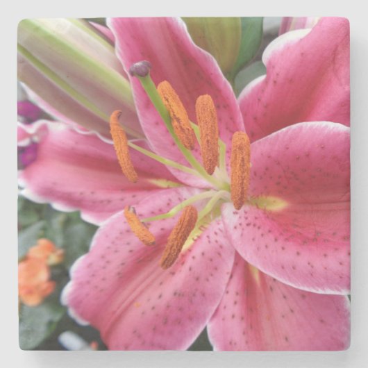 Stargazer Steinuntersetzer (Vorderseite)