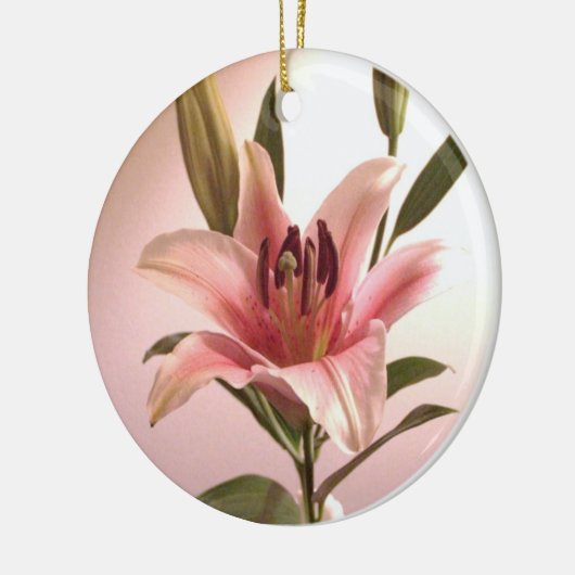 Stargazer-Verzierung Keramik Ornament (Links)