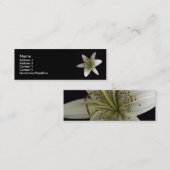 Stargazer-Visitenkarte Mini Visitenkarte (Vorne/Hinten)